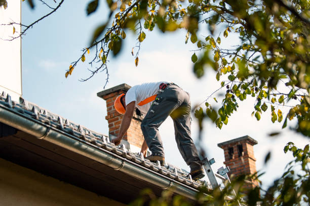 Best Emergency Roof Repair  in Laurium, MI