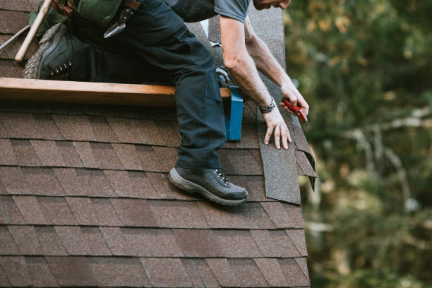 Best Metal Roofing Contractor  in Laurium, MI